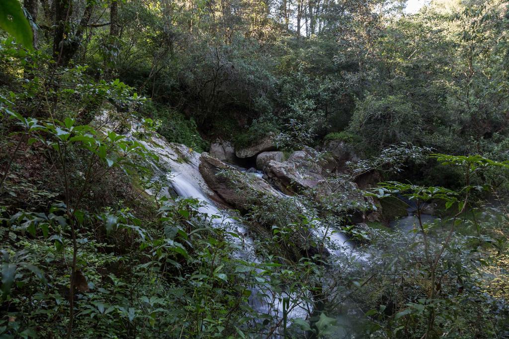 Cabanas Rancho El Mayab Zacatlán 외부 사진