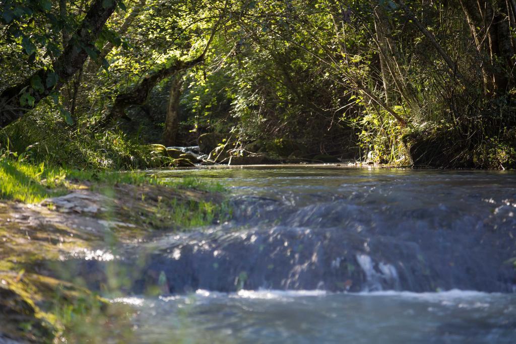 Cabanas Rancho El Mayab Zacatlán 외부 사진